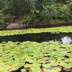 Meet your Posher, Olph